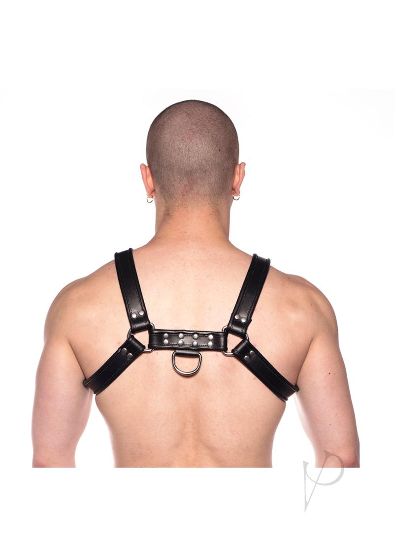 Prowler RED Bull Harness - Small -Black