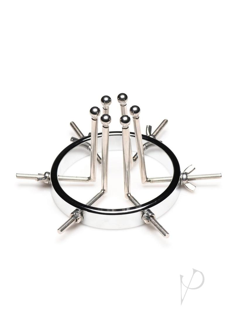 Master Series Oculus Stainless Steel Anal Explorer