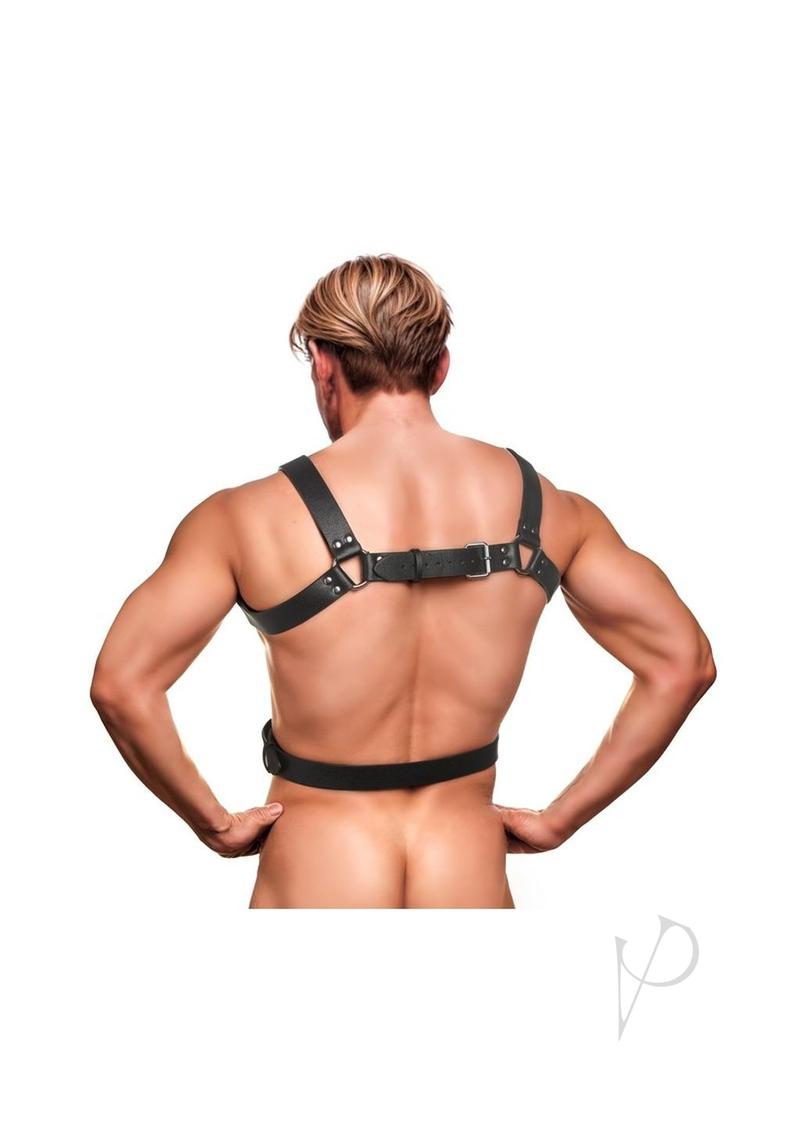 Strict 6 O-Ring Chest Harness - Black