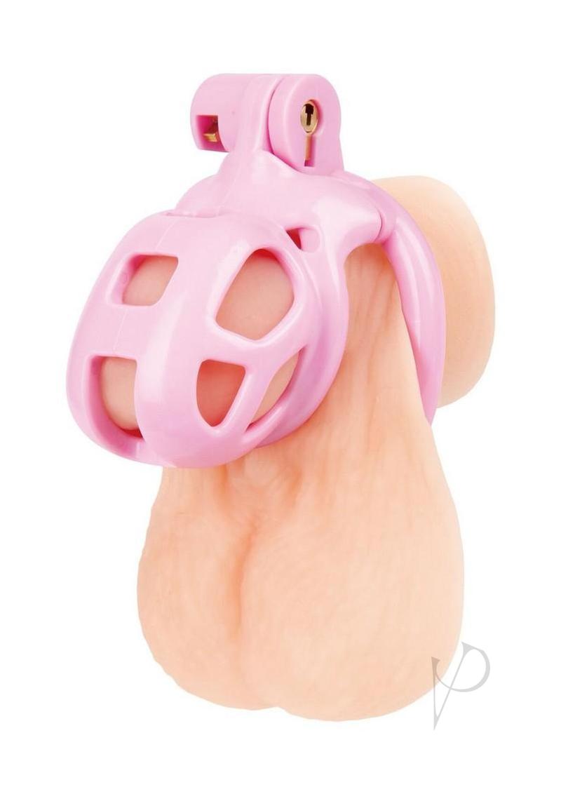 Blueline Small Humiliation Acrylic Prisoner Cock Cage - Pink