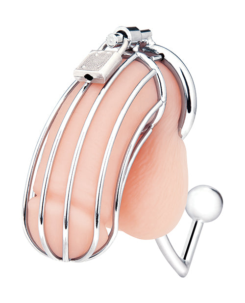 Cock Cage With Anal Stimulator - Stainless Steel
