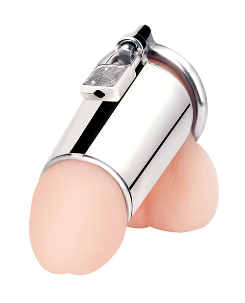 Ultimate Cock Tease Cage - Stainless Steel