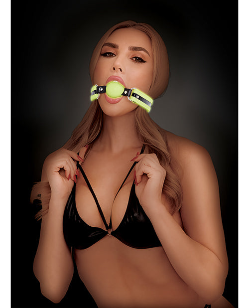 WhipSmart Glow in the Dark Deluxe Silicone Ball Gag