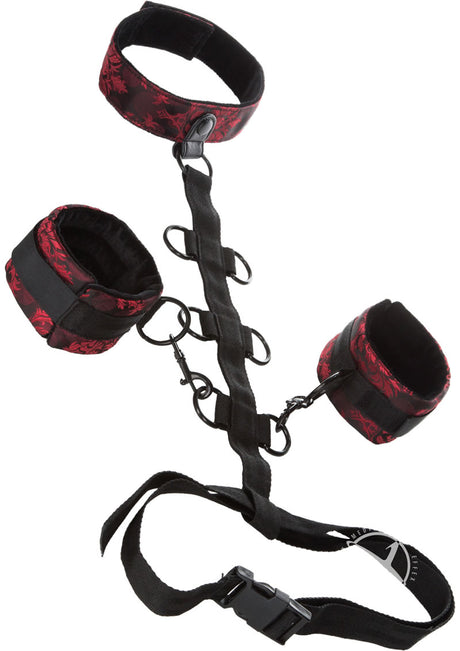 Scandal Collar Body Restraint - Red/Black