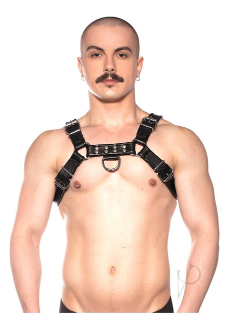 Prowler RED Bull Harness - Medium -Black