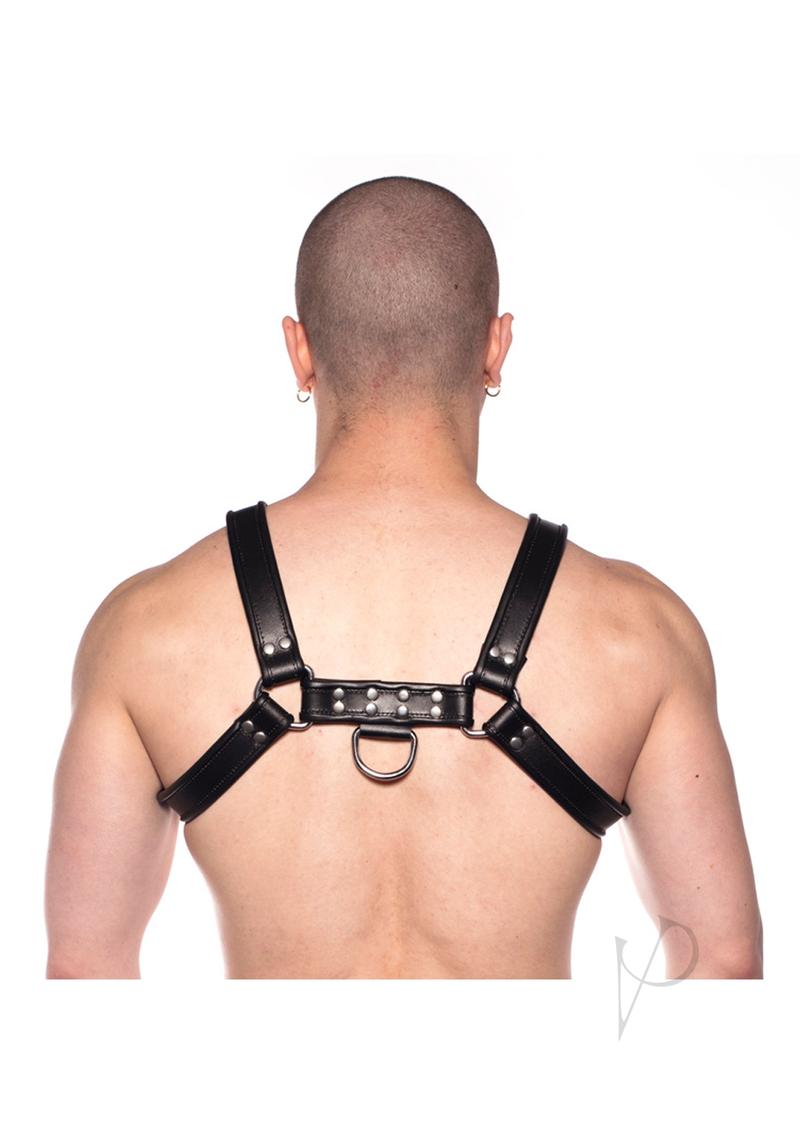 Prowler RED Bull Harness - Medium -Black