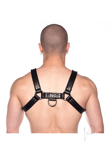 Prowler RED Bull Harness - Medium -Black