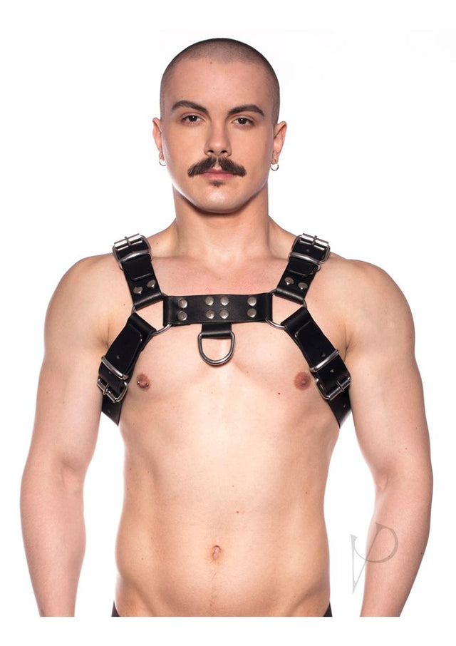 Prowler RED Butch Harness - Small - Black/Silver