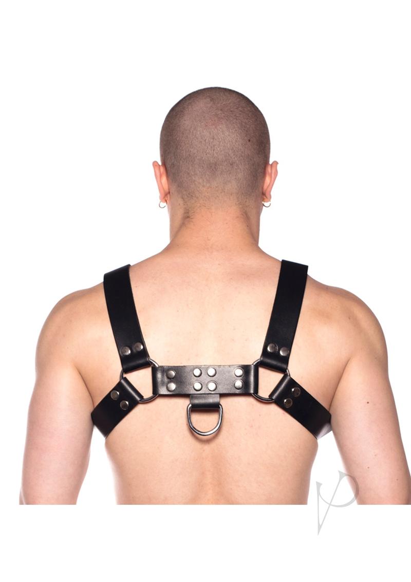 Prowler RED Butch Harness - Small - Black/Silver