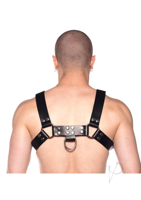 Prowler RED Butch Harness - Small - Black/Silver