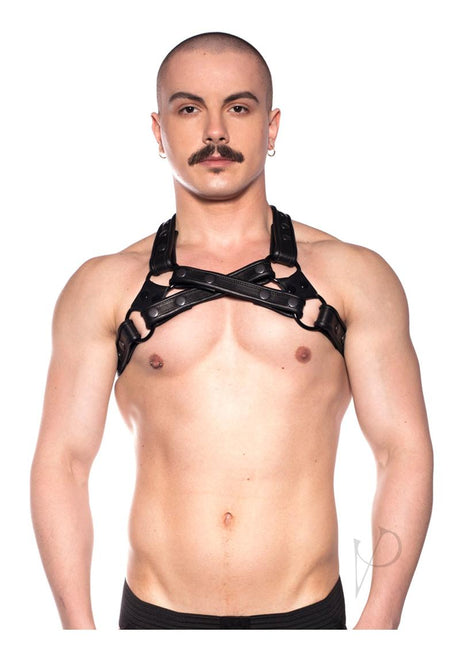 Prowler RED Cross Harness - Small/Medium - Black