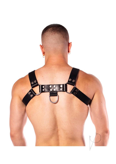 Prowler RED Butch Harness Premium - Medium - Black