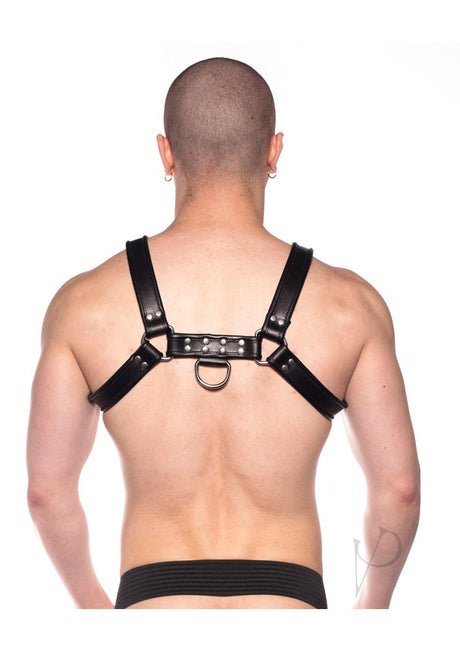 Prowler RED Bull Harness - XXLarge - Black