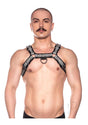 Prowler RED Bull Harness - XXLarge - Gray