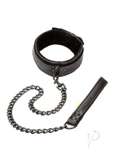 Boundless Collar and Leash - Black