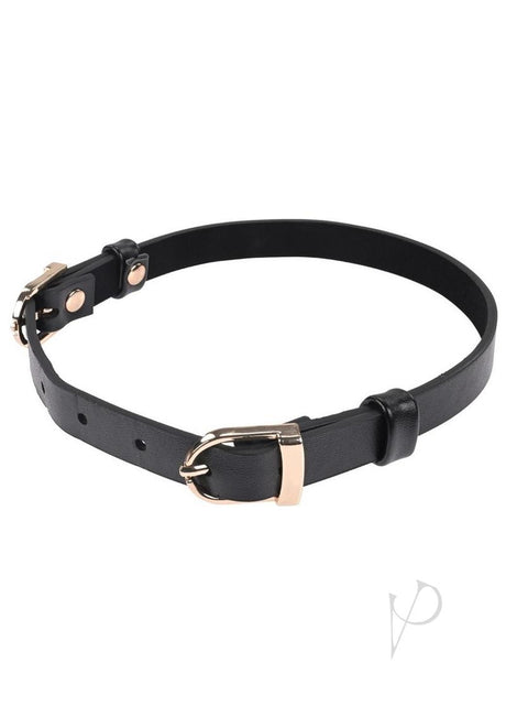 Sex and Mischief Double Buckle Day Collar - Black/Gold