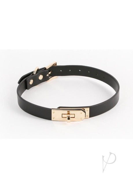 Fetish and Fashion Sadie Collar - Black/Gold