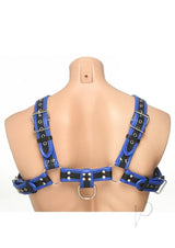 Master Series Bulldog Harness - Blue