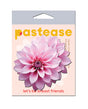 Pastease Tropical Dahlia Botanical Flower - Pink O/S