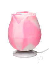 Bloomgasm The Rose Lovers Gift Box - Pink Swirl