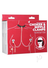 Punishment Choker and Nipple Clamps - Rose Gold