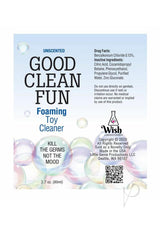 Good Clean Fun Foaming Toy Cleaner 2.75oz - Unscented