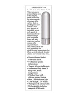 Adam & Eve Eve's Rechargeable Silver Metal Bullet