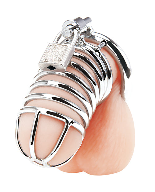 Blue Line Deluxe Chastity Cage - Silver