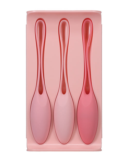 In a Bag Kegel Trainer Kit (Set of 3) - Pink