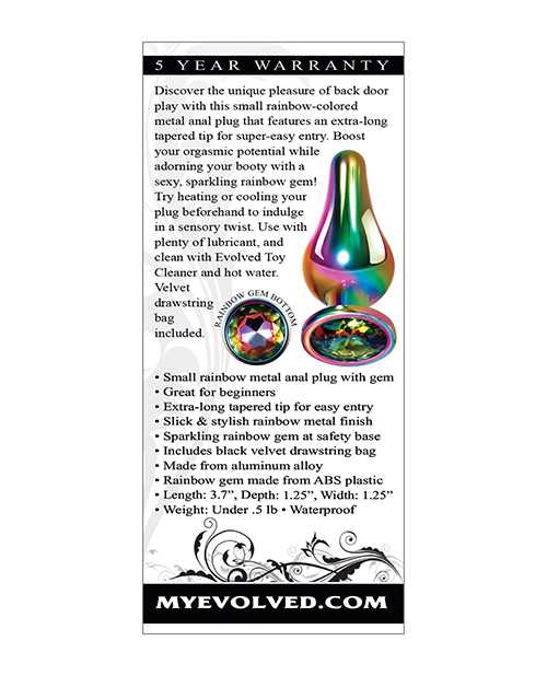 Rainbow Metal Anal Plug - Small