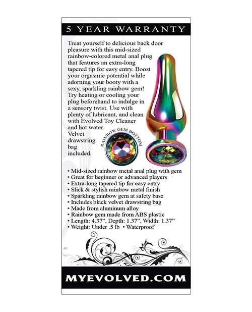 Rainbow Metal Anal Plug - Medium