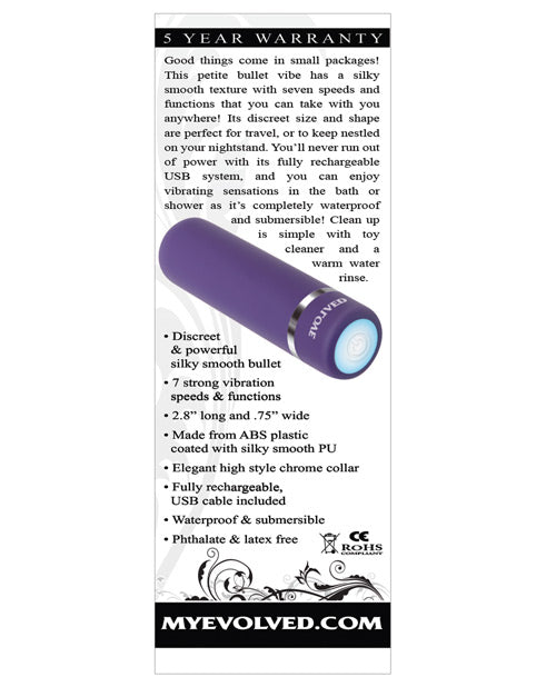 Purple Passion Rechargeable Silky Smooth Bullet - Purple