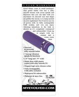 Purple Passion Rechargeable Silky Smooth Bullet - Purple