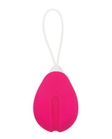 Remote Controlled Rechargeable Silicone Egg Vibrator - Pink