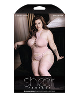 Sheer Fantasy High Neck Floral Lace Gartered Bodystocking & Panty Light Pink QN