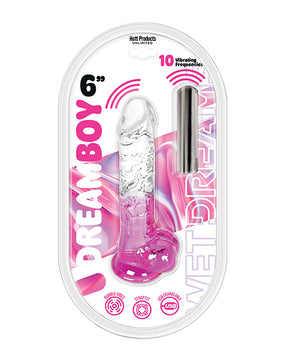 Wet Dreams Dream Boy 6" Jelly Vibrator - Pink