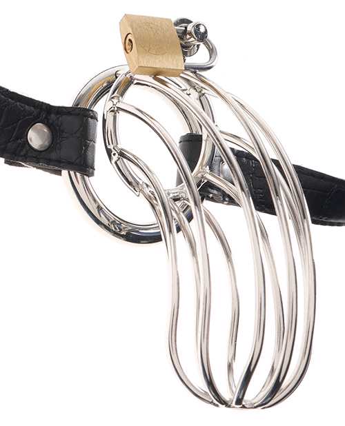 Fetish Fantasy Extreme The Prisoner Steel Cock Cage Chastity Belt with Lock - Silver