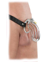 Fetish Fantasy Extreme The Prisoner Steel Cock Cage Chastity Belt with Lock - Silver