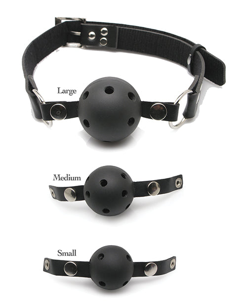 Fetish Fantasy Series Ball Gag Training System Black