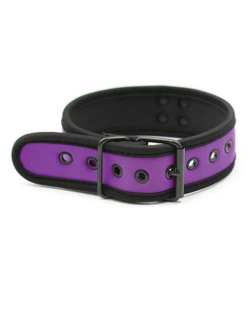 Plesur Neoprene Puppy Collar - Purple