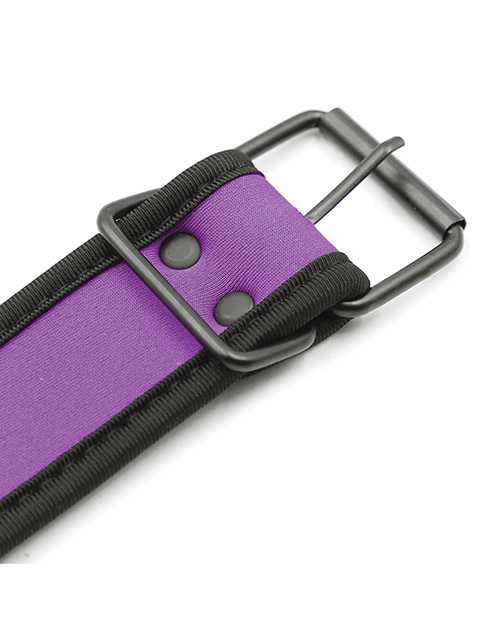 Plesur Neoprene Puppy Collar - Purple