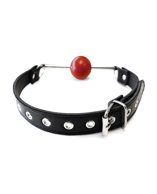 Rouge Ball Gag with Removable Ball and Stainless Steel Rod Adjustable Strap - Black and Red