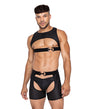 Master Harness w/Hook & Ring Closure Black XL