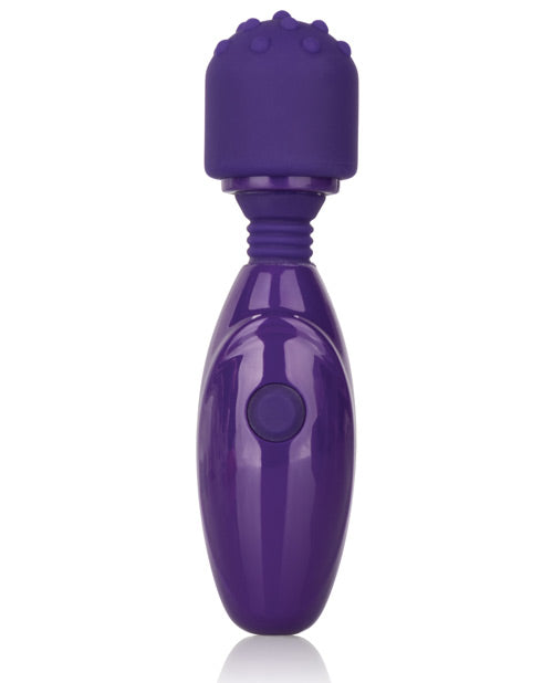 Tiny Teasers Nubby USB Rechargeable Mini Vibrator Silicone Textured Head Waterproof - Purple