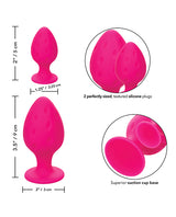 Cheeky Silicone Textured Anal Plugs Large/Small (Set of 2) - Pink