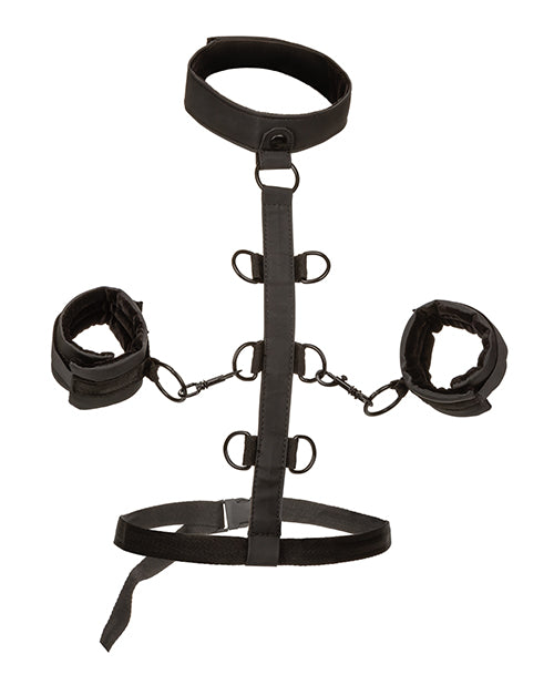 Boundless Collar Body Restraint - Black