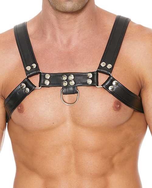 Shots Uomo Chest Bulldog Harness Small/Medium - Black