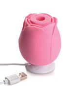 Bloomgasm The Rose Lover`s Gift Box - Pink