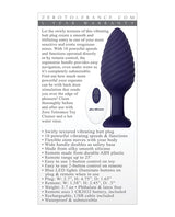 Zero Tolerance Wicked Twister Rechargeable Silicone Vibrating Butt Plug - Purple